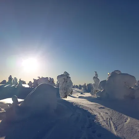 Villa Arctic Juniper